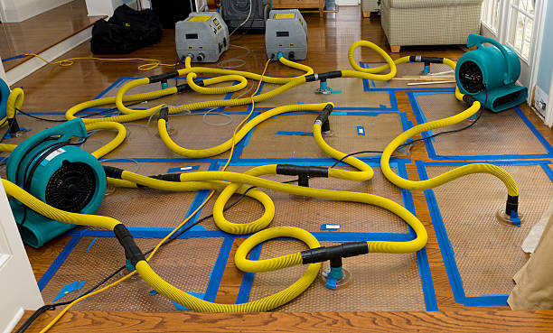 Professional Crawl Space Water Removal technician working in Centertown, MO